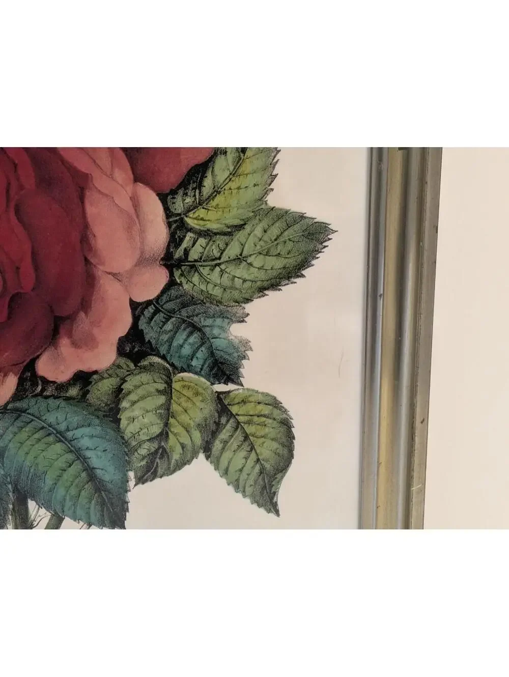 Antique Currier & Ives Hand Colored Lithograph The Rose Floral Print Gold Frame